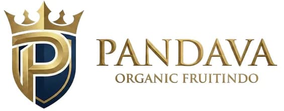 logo-pandava